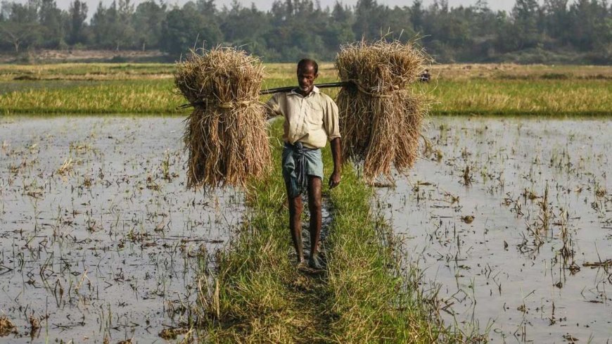 ଦେଶରେ ସବୁଠାରୁ ଗରିବ ଝାଡଖଣ୍ଡ   ଚାଷୀ , ଦ୍ୱିତୀୟରେ ଓଡ଼ିଶା