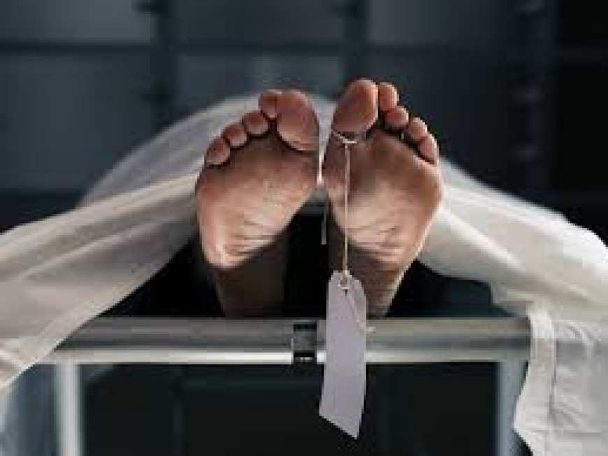 ଅସ୍ୱାଭାବିକ ମୃତ୍ୟୁର ତଦନ୍ତ ନିର୍ଦ୍ଦେଶ